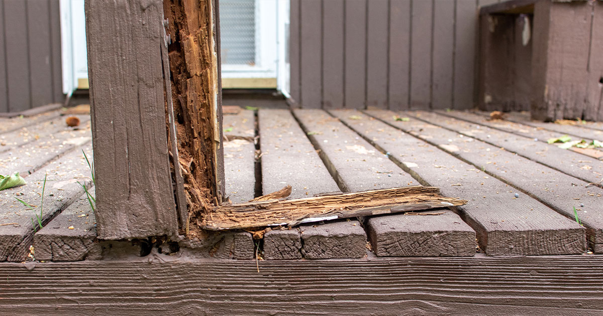 Close-up of a damaged wooden deck with severe wood rot, highlighting the need for deck repair and restoration services.